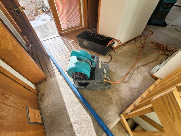 Trusted Hawkins, TX Water damage restoration Experts