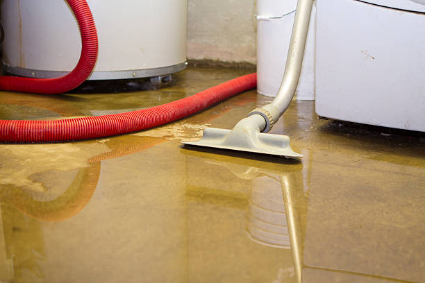 Best 24/7 water damage repair  in Hawkins, TX